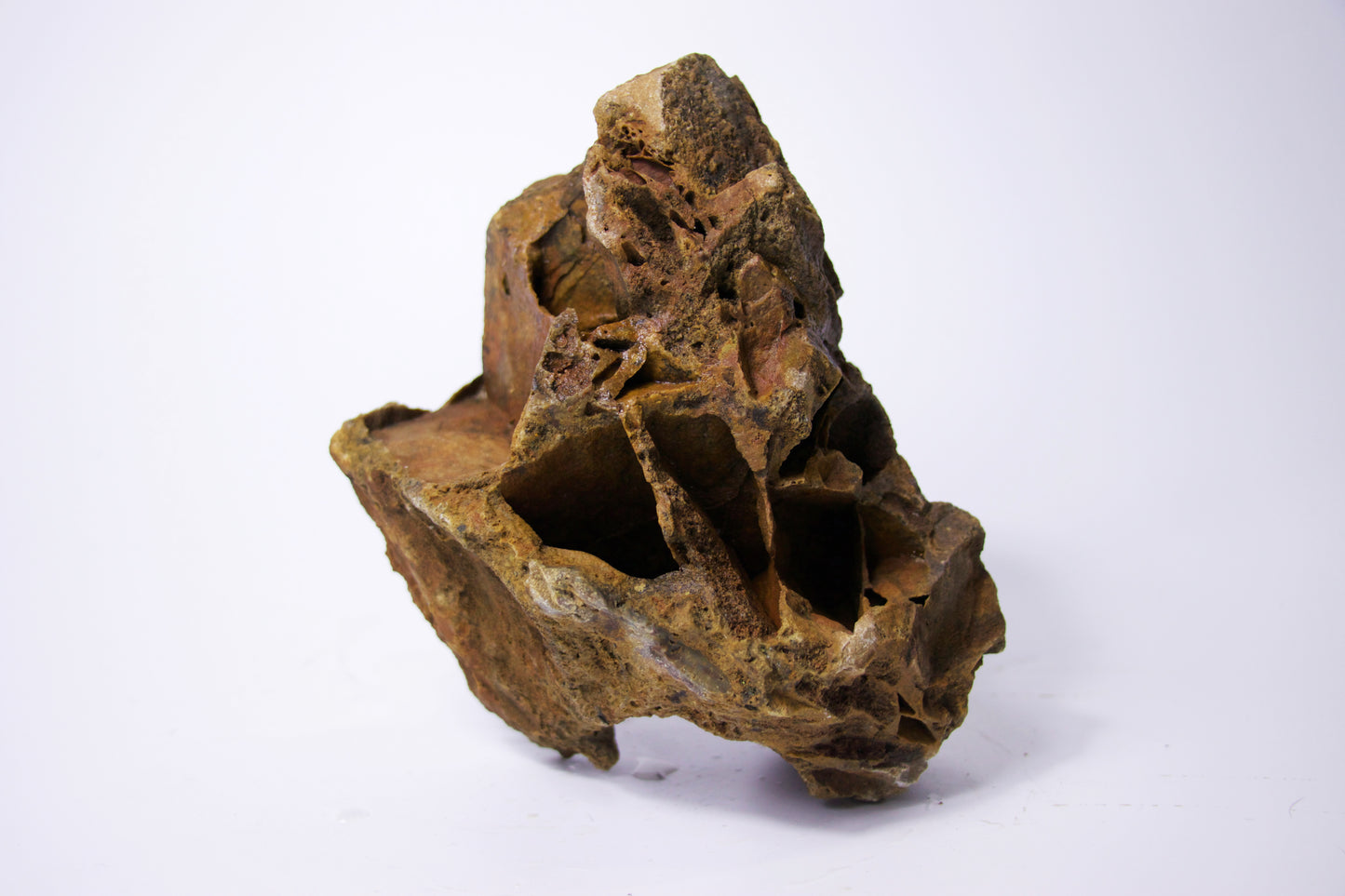 Rare Natural Freeform Stone with Unusual Abstract Shape – Unique Home Decor